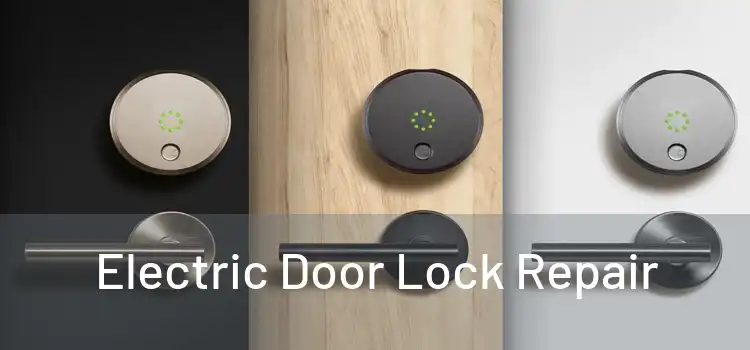Electric Door Lock Repair