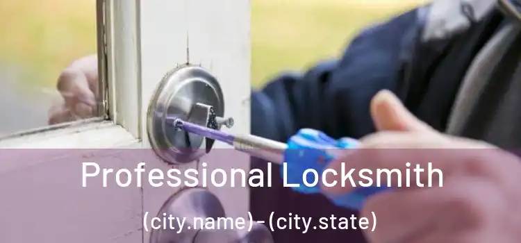 Professional Locksmith (city.name) - (city.state)